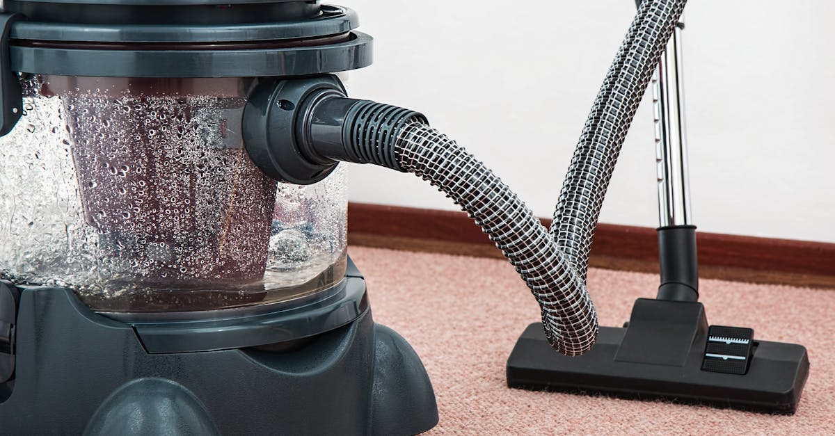 How Professional Stain Removal Saves Your Carpet's Life