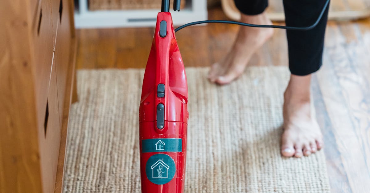 Key Qualifications to Look for in a Carpet Cleaning Service