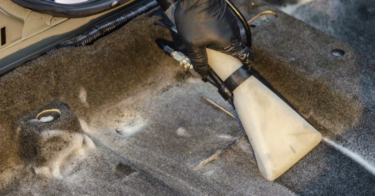 Questions to Consider About Carpet Cleaning Experience