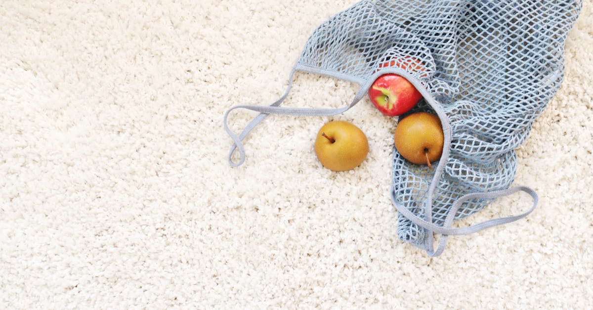 Seasonal Carpet Care: Preparing Your Business Carpets for Brisbane Weather