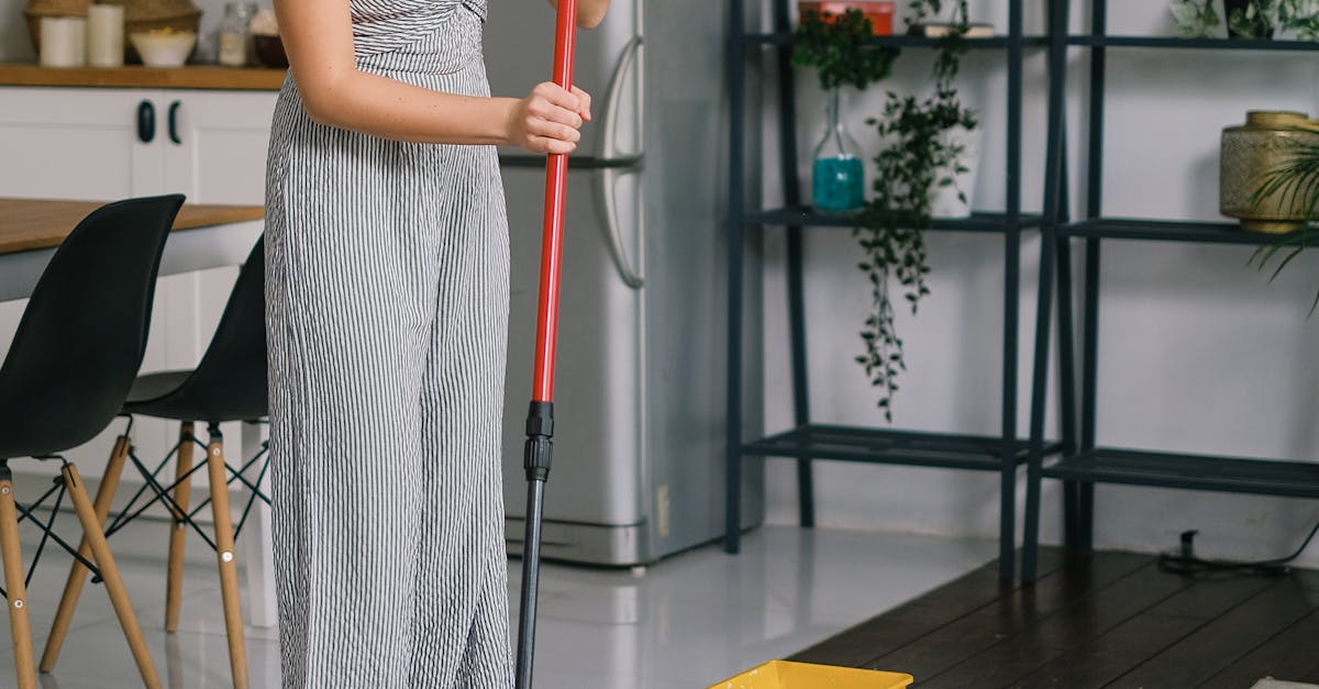 Sustainable Carpet Cleaning Products Available in Brisbane