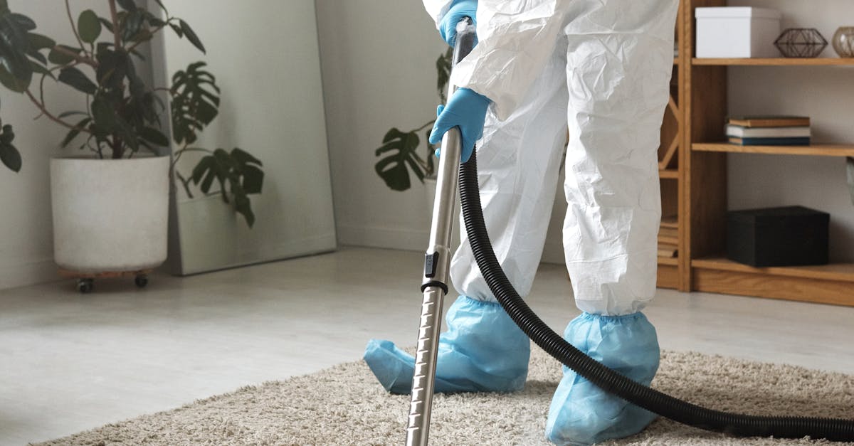 The Best Methods for Treating Pet Urine Stains on Carpets