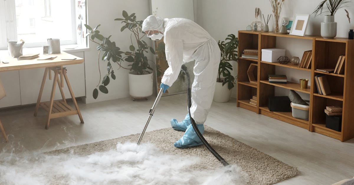 The Importance of Regular Deep Cleaning for Carpet Longevity