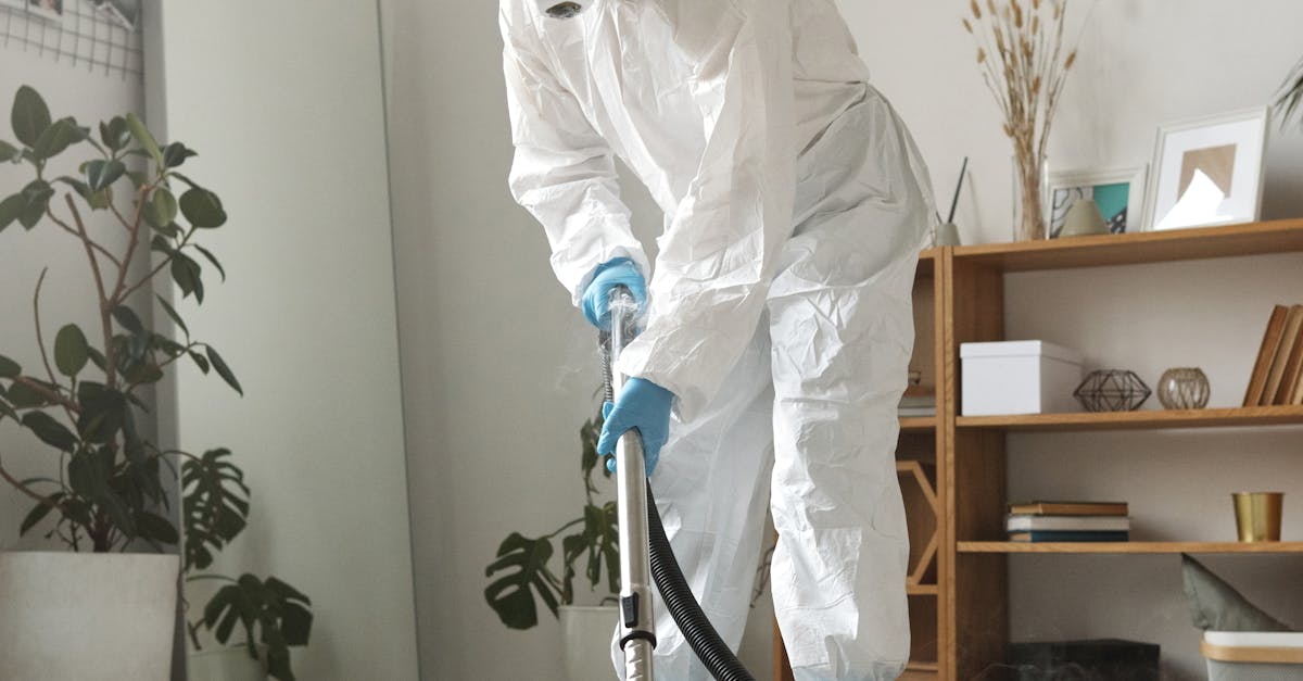 The Process Behind Professional Carpet Stain Removal in Brisbane