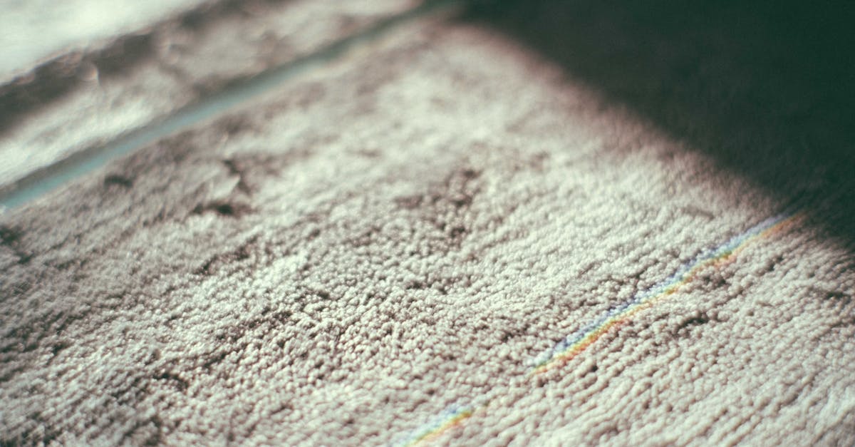 Understanding Pricing Structures of Carpet Cleaning Services