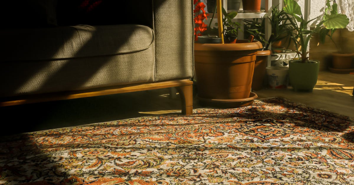 Using Cornstarch for Treating Carpet Stains